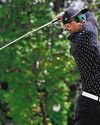 Gong comes up roses for Orchid CC62