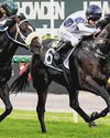 CABALLUS ALL SYSTEMS GO FOR THE QUOKKA50