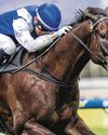 CLOSER TO HOME: BAKEEL SETS SIGHTS ON S'PORE POOLS TROPHY42