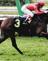 Tiang has one for KL's richest race50