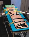 US adding firing squads, electrocution, gassing to federal execution methods16
