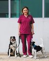 Going beyond 'naughty' pets60