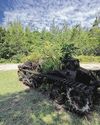 Nature's renewal abounds amid remnants of the past68