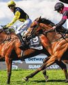 ALL SET FOR THRILLING CHAMPIONSHIPS FINALE55