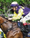 COLOURFUL KING CAN DAZZLE59