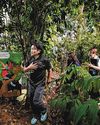 The Straits Times