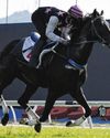 SPEEDY SAMURAI IN SLASHING TRIAL FORM60