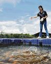 The Straits Times