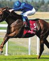 NOTABLE SPEECH WINS LOCKINGE NOTABLE SPEECH WINS LOCKINGE49