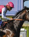 2YO REEF RUNNER IMPRESSES ON DEBUT 2YO REEF RUNNER IMPRESSES ON DEBUT48