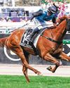 HALF YOURS MEASURES UP NICELY IN G1 DOOMBEN CUP49