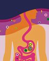 Foggy brain? Maybe it's your gut Foggy brain? Maybe it's your gut64