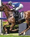 Clark keen to see Vauban test Jenni in Doomben Cup Clark keen to see Vauban test Jenni in Doomben Cup59