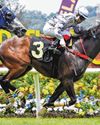 SHEESH IS RARING TO GO TO WAR The Straits Times