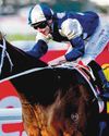 BIRDMAN HANDS WALLER RARE 200TH G1 SUCCESS42