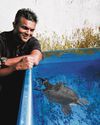 Endangered turtles rescued here still can't return to Indonesia, says ACRES22