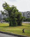 The Straits Times