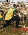 PM Wong heartened by resilience, community spirit on Hari Raya Haji PM Wong heartened by resilience, community spirit on Hari Raya Haji2