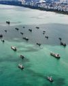 The Straits Times