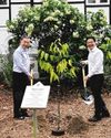 The Straits Times