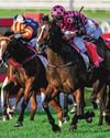 WET TO ROTHFIRE'S LIKING IN STRADBROKE WET TO ROTHFIRE'S LIKING IN STRADBROKE47