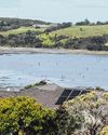 NZ’s coastal foragers spark debate on race and conservation NZ’s coastal foragers spark debate on race and conservation21