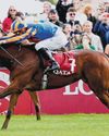 EVEN PACE KEY TO G1 PRIX DE DIANE GLORY: O'BRIEN EVEN PACE KEY TO G1 PRIX DE DIANE GLORY: O'BRIEN51