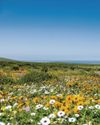 8 of the CAPE'S ALMOST-SECRET SPOTS 8 of the CAPE'S ALMOST-SECRET SPOTS5