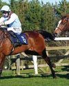 TEAM UP WITH DACE TO DO THE TRICK FOR LADY47