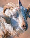 It's OK we goat this..oh, hold on It's OK we goat this..oh, hold on