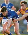 BUZZING LAOIS UNLEASHED AT WEXFORD PARK BUZZING LAOIS UNLEASHED AT WEXFORD PARK