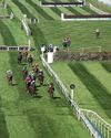 Horse with 'no more to give' dies three days after National collapse Horse with 'no more to give' dies three days after National collapse