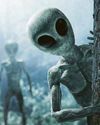 Alien search to be spaced out by NASA cuts Alien search to be spaced out by NASA cuts