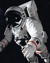 Gastronauts to boldly grow their own food Gastronauts to boldly grow their own food