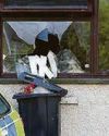 Cops suspect petrol bomb arson at flat