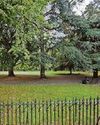 Cost of tearooms just brew & grew Cost of tearooms just brew & grew