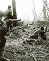 WORLD WAR DON WORLD WAR DON