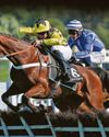 New drive to get more big spenders galloping our way New drive to get more big spenders galloping our way