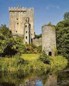 BLARNEY PHONE36
