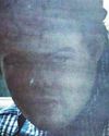 Gunman at shops had 'firebomb'1