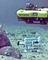 DEEP SEA BOT'S A DIVE BOMBER18