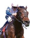 I'M GOING FOR A SONG IN KING GEORGE STAKES I'M GOING FOR A SONG IN KING GEORGE STAKES83