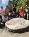 Massive fossil find is turtle-y awesome38