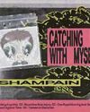 Shampain lollipop70