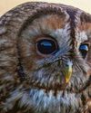 A BIRD'S EYE VIEW58