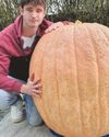 PUMPKIN COULD SMASH RECORDS51