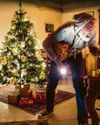 Don't let your home become a gift for burglars24