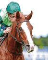 IT'S NO HARD CELL' FOR O'BRIEN109