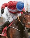 ENVOI ALLEN’S UP FOR DOWN ROYAL Irish Daily Star