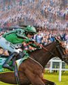 Shark’s star can make another splash today Irish Daily Star